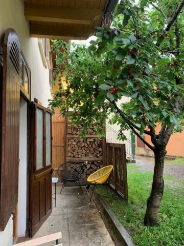 Charmant Appartement Sur Cour, Le Cerisier Bagnères-de-Bigorre Zewnętrze zdjęcie